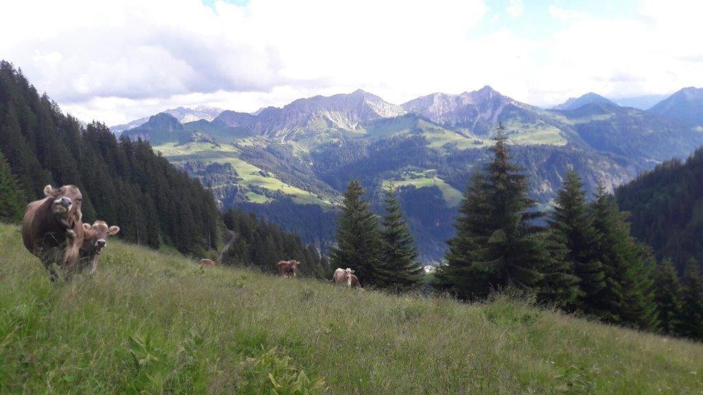 Berghaus Schafer Hotel ฟาสชินา ภายนอก รูปภาพ